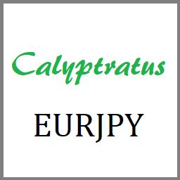 Calyptratus EURJPY 自動売買