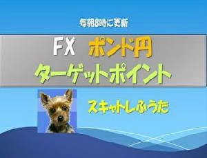 スキャトレふうたのターゲットポイント 投資ナビ＋