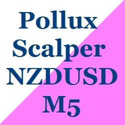 ポラックス スキャルパー NZDUSD M5 Auto Trading