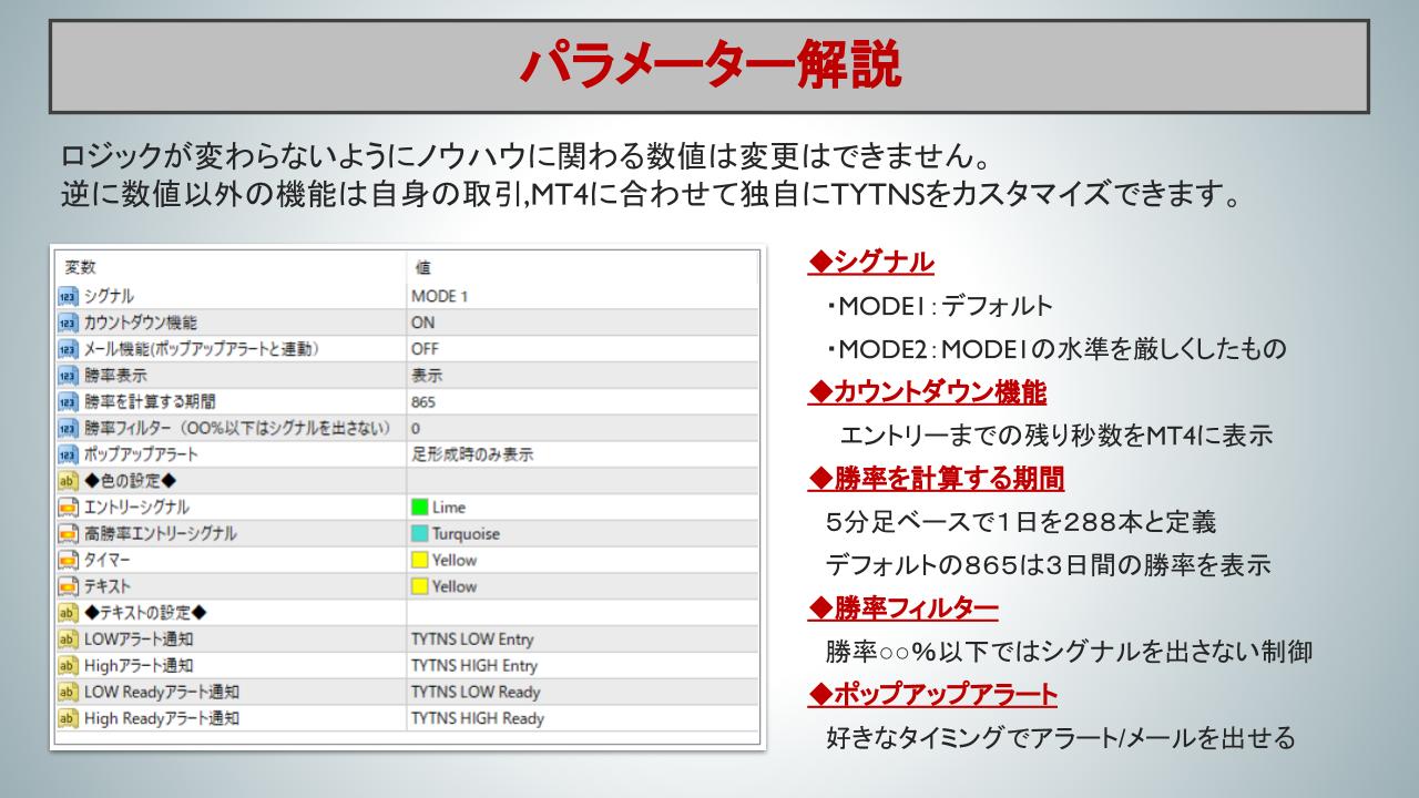 gogojungle販売ページ「TYTNSお試し版」.pptx (2).jpg