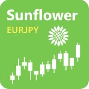 Sunflower EURJPY