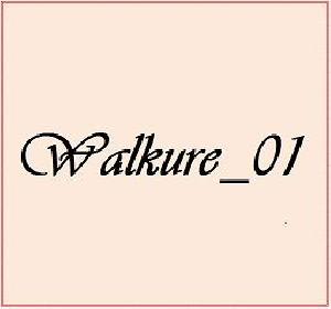 Walkure_01
