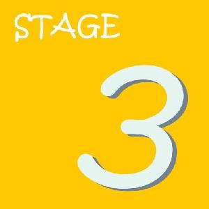 STAGE3