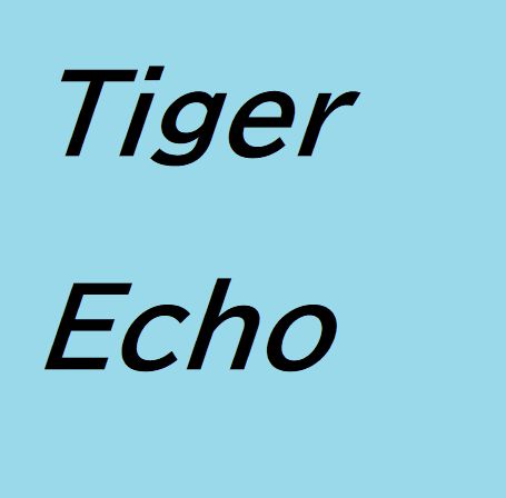 Tiger_Echo Auto Trading