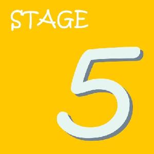 STAGE5