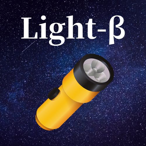 Light-β 自動売買
