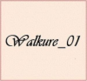 Walkure_01(優待）