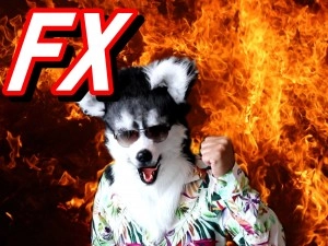 億り犬が教える　FX裁量トレード　Garutube　FX 投資ナビ＋