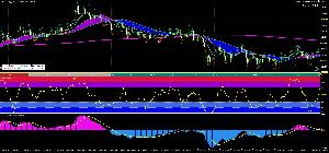 新1億人のためのFX継続会員用