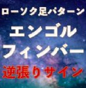 エンゴルフィンバーシグナル｜バイナリーオプション、FX専用
