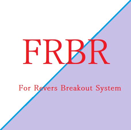 FRBR 自動売買