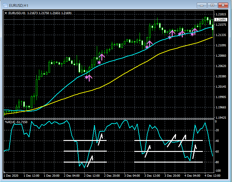 05-1N-EURUSD_H1_WPRM2S3_BUYonly_2_20210124.png