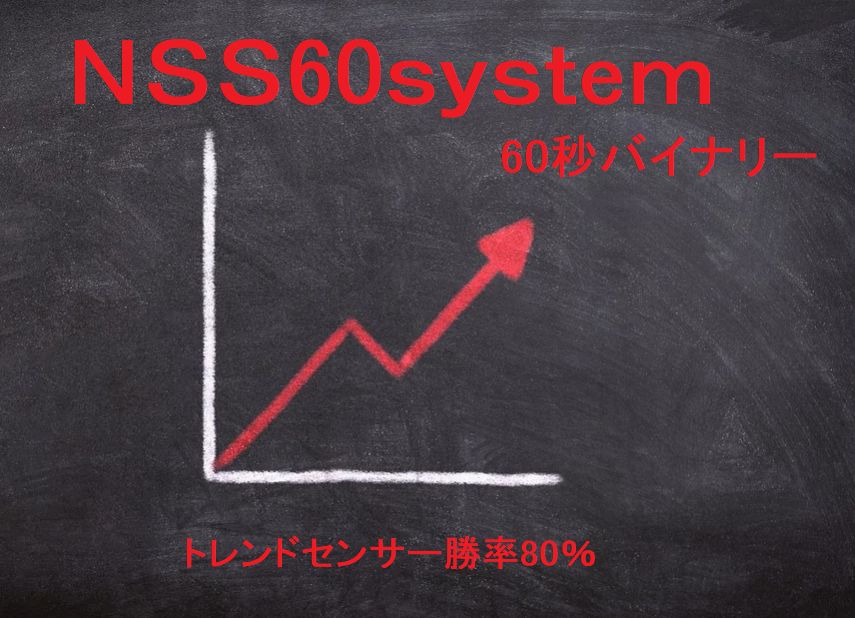 NSS60system インジケーター・電子書籍