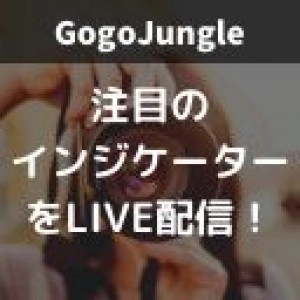 GogoJungleインジケーターLIVE！ 投資ナビ＋