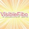 VisibleFibo(MT5) インジケーター・電子書籍