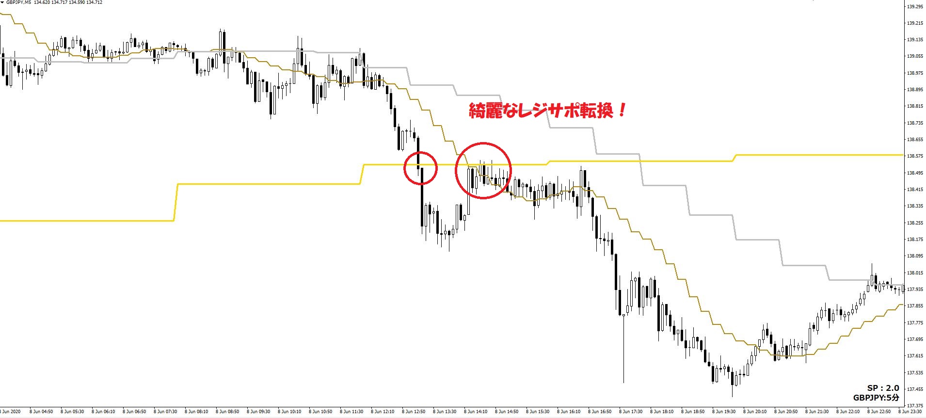 SEI_Multi_Line (9).JPG