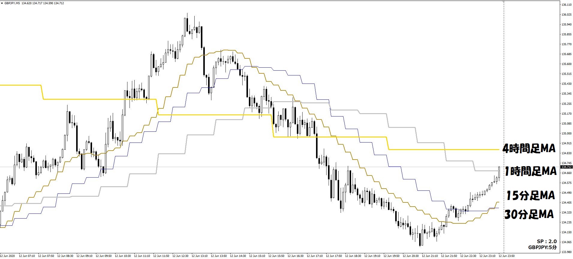 SEI_Multi_Line (7).JPG