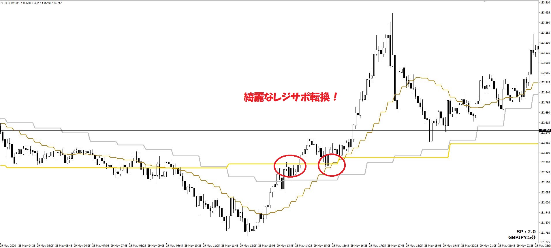 SEI_Multi_Line (10).JPG