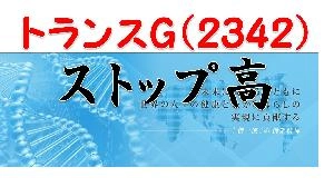 【テクニカル分析】どこまで騰がる？トランスGを分析してみた