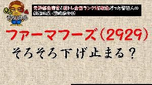 【株式投資・テクニカル分析】超論理的思考でファーマフーズの底を分析した件