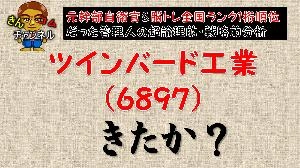 【株式投資・テクニカル分析】仕手株？超論理的思考でツインバード工業の値動きを分析した件