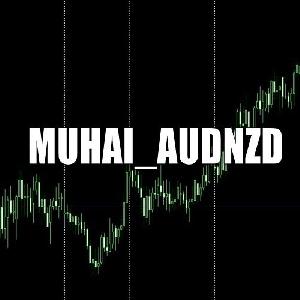 MUHAI_AUDNZD