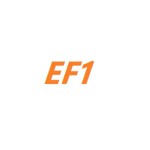 EF1 自動売買