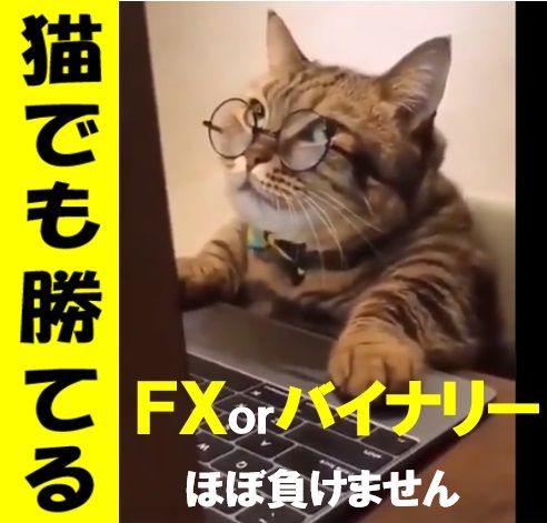 猫でも勝てるサインツール（FXorBO） インジケーター・電子書籍