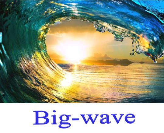 Big-wave 自動売買