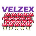VELZEX Auto Trading