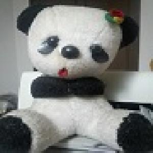 P3SMMで100倍計画ecn方式対応版