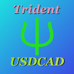 トライデント　USDCAD 自動売買