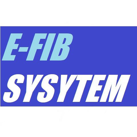 E-FIB SYSYTEM Indicators/E-books