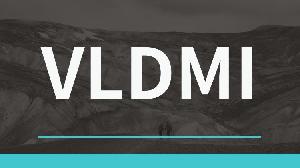 VLDMI