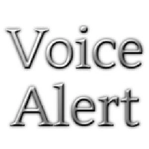 VoiceAlertインジケーター