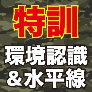 実戦で使える環境認識＆精密水平線テクニックを徹底習得【K隊長の特訓シリーズ】 投資ナビ＋