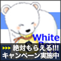 900本ご購入御礼！・Forex White Bear V3 Auto Trading