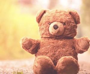 質問2つまでOK！ぬいぐるみや人形の心を透視します