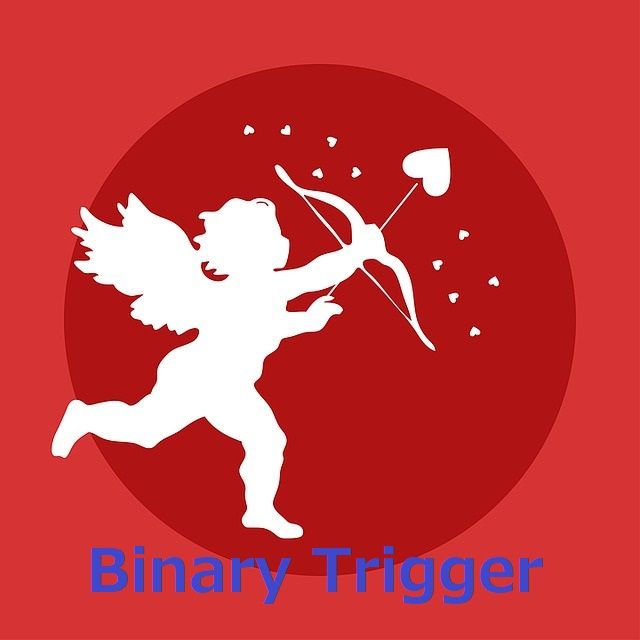 Bynary Trigger　X インジケーター・電子書籍