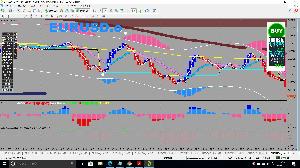 高勝率　1時間足使用