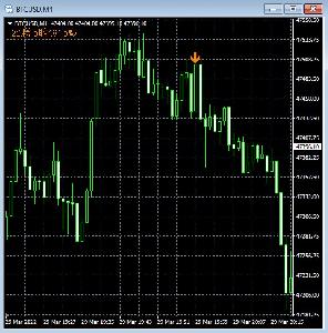 1分判定で単発勝率60%以上（BTC特化型 ）無料お試し有・バイナリーオプション サインツール（月額制・初月は無料！）