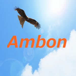 Ambon_GBPJPY_M15 自動売買