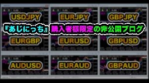 ハイブリッドFXトレードシステム『あじにっち』購入者様限定情報 投資ナビ＋