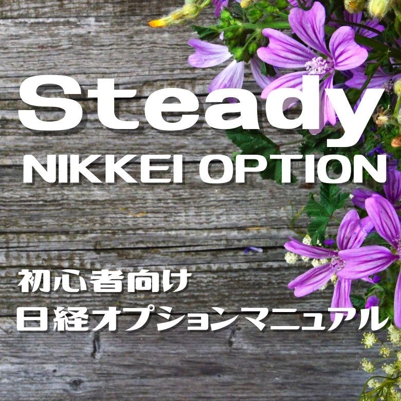 Steady NIKKEI OPTION Indicators/E-books