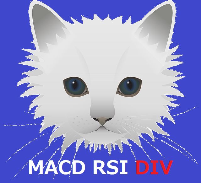 MACD RSI DIV インジケーター・電子書籍