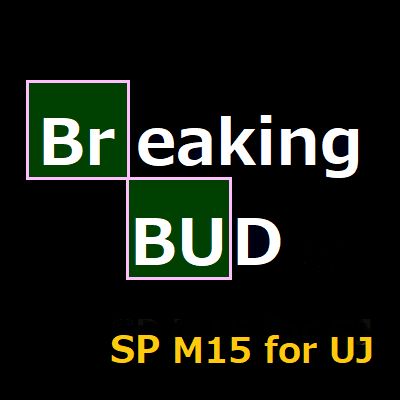Breaking BUD SP M15 for UJ Auto Trading