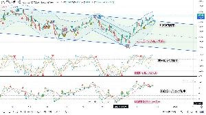 アルティメット・インジケーターシステムで相場を切る Investment Navi+