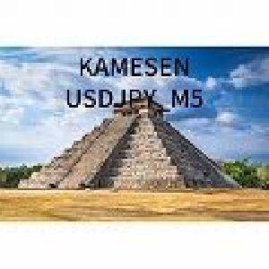 KAMESEN_G