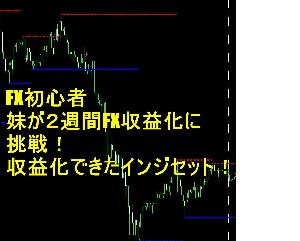 FX超初心者の妹が２週間FX収益化に挑戦！収益化できたインジセット！