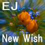 New Wish EJ Tự động giao dịch